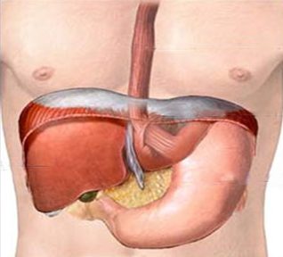 Hiatus hernia repair